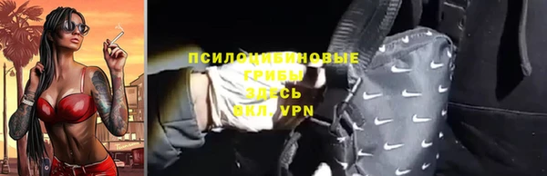 spice Гусев