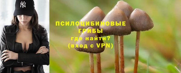 гашик Заволжье