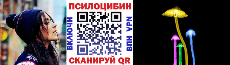 Купить где  Киселёвск  Галлюциногенные грибы мицелий 